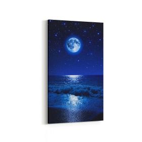 Olla 14697DD Gece Gökyüzü Görseli Dikey Dar 30x60 cm Kanvas Tablo