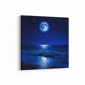 Olla 14697K Gece Gökyüzü Görseli Kare 25x25 cm Kanvas Tablo