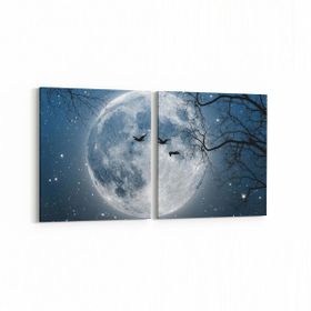 Olla 14716K2Y Gece Gökyüzü Görseli Kare 2 Parça Yatay 65x30 cm Kanvas Tablo