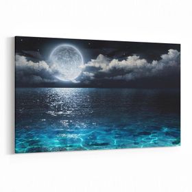 Olla 14717Y Gece Gökyüzü Görseli Yatay 30x20 cm Kanvas Tablo