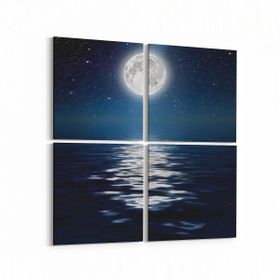 Olla 14734K4 Gece Gökyüzü Görseli Kare 4 Parça 65x65 cm Kanvas Tablo