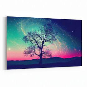 Olla 14736Y Gece Gökyüzü Görseli Yatay 30x20 cm Kanvas Tablo
