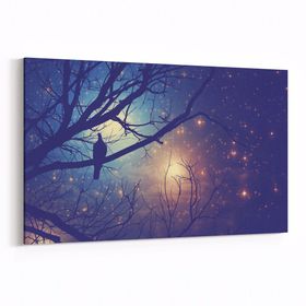 Olla 14738Y Gece Gökyüzü Görseli Yatay 30x20 cm Kanvas Tablo