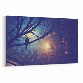 Olla 14738Y Gece Gökyüzü Görseli Yatay 30x20 cm Kanvas Tablo