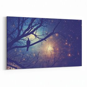 Olla 14738Y Gece Gökyüzü Görseli Yatay 30x20 cm Kanvas Tablo