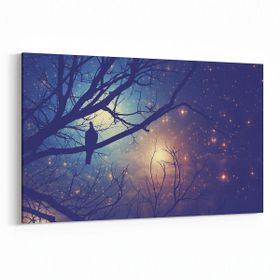 Olla 14738Y Gece Gökyüzü Görseli Yatay 30x20 cm Kanvas Tablo