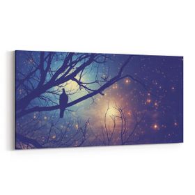 Olla 14738YD Gece Gökyüzü Görseli Yatay Dar 60x30 cm Kanvas Tablo