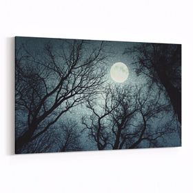 Olla 14749Y Gece Gökyüzü Görseli Yatay 30x20 cm Kanvas Tablo