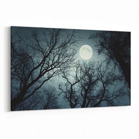 Olla 14749Y Gece Gökyüzü Görseli Yatay 30x20 cm Kanvas Tablo