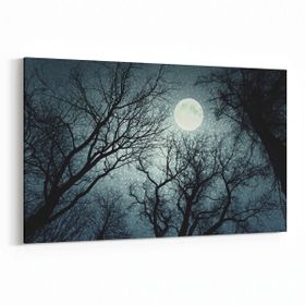 Olla 14749Y Gece Gökyüzü Görseli Yatay 30x20 cm Kanvas Tablo