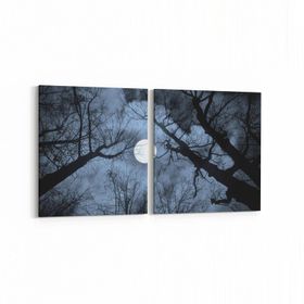 Olla 14769K2Y Gece Gökyüzü Görseli Kare 2 Parça Yatay 65x30 cm Kanvas Tablo