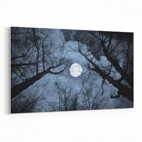 Olla 14769Y Gece Gökyüzü Görseli Yatay 30x20 cm Kanvas Tablo