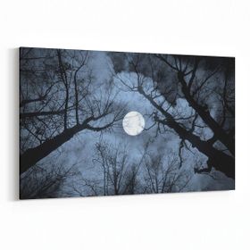 Olla 14769Y Gece Gökyüzü Görseli Yatay 30x20 cm Kanvas Tablo