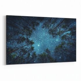 Olla 14798Y Gece Gökyüzü Görseli Yatay 30x20 cm Kanvas Tablo