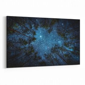 Olla 14806Y Gece Gökyüzü Görseli Yatay 30x20 cm Kanvas Tablo