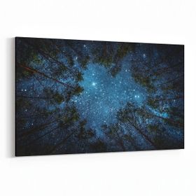 Olla 14806Y Gece Gökyüzü Görseli Yatay 30x20 cm Kanvas Tablo
