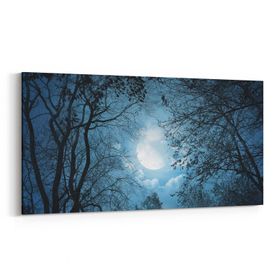 Olla 14817YD Gece Gökyüzü Görseli Yatay Dar 60x30 cm Kanvas Tablo