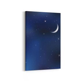 Olla 14820D Gece Gökyüzü Görseli Dikey 20x30 cm Kanvas Tablo