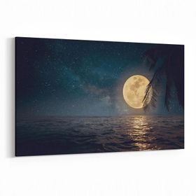 Olla 14827Y Gece Gökyüzü Görseli Yatay 30x20 cm Kanvas Tablo