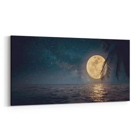 Olla 14827YD Gece Gökyüzü Görseli Yatay Dar 60x30 cm Kanvas Tablo