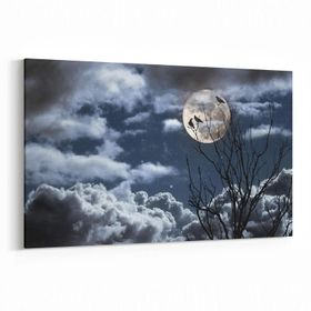 Olla 14828Y Gece Gökyüzü Görseli Yatay 30x20 cm Kanvas Tablo