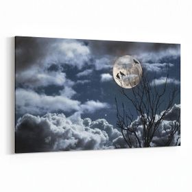 Olla 14828Y Gece Gökyüzü Görseli Yatay 30x20 cm Kanvas Tablo