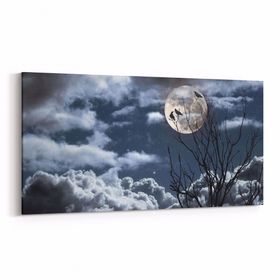 Olla 14828YD Gece Gökyüzü Görseli Yatay Dar 60x30 cm Kanvas Tablo