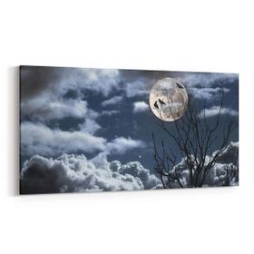 Olla 14828YD Gece Gökyüzü Görseli Yatay Dar 60x30 cm Kanvas Tablo
