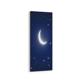 Olla 14829DI Gece Gökyüzü Görseli Dikey İnce 30x90 cm Kanvas Tablo