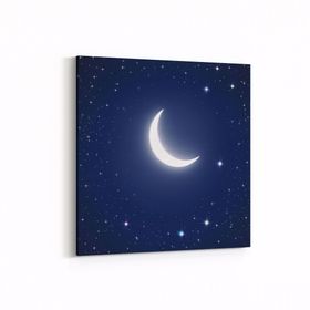 Olla 14829K Gece Gökyüzü Görseli Kare 25x25 cm Kanvas Tablo
