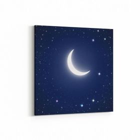 Olla 14829K Gece Gökyüzü Görseli Kare 25x25 cm Kanvas Tablo