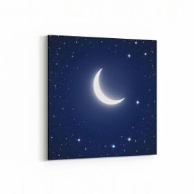Olla 14829K Gece Gökyüzü Görseli Kare 25x25 cm Kanvas Tablo