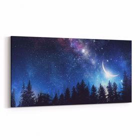 Olla 14842YD Gece Gökyüzü Görseli Yatay Dar 60x30 cm Kanvas Tablo