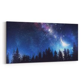 Olla 14842YD Gece Gökyüzü Görseli Yatay Dar 60x30 cm Kanvas Tablo
