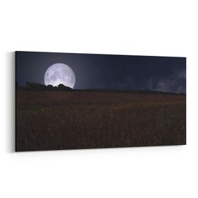 Olla 14865YD Gece Gökyüzü Görseli Yatay Dar 60x30 cm Kanvas Tablo
