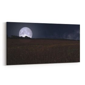 Olla 14865YD Gece Gökyüzü Görseli Yatay Dar 60x30 cm Kanvas Tablo