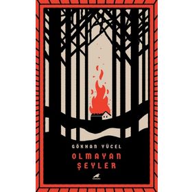 Olmayan Şeyler - Füsun Çetinel