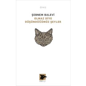 Olmaz Diye Düşündüğümüz Şeyler - Şebnem Balevi