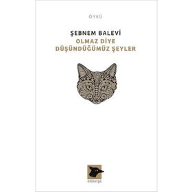 Olmaz Diye Düşündüğümüz Şeyler - Şebnem Balevi