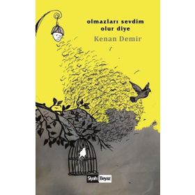 Olmazları Sevdim Olur Diye - Kenan Demir