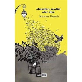 Olmazları Sevdim Olur Diye - Kenan Demir