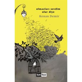 Olmazları Sevdim Olur Diye - Kenan Demir