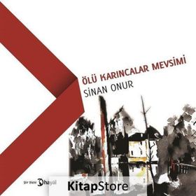 Ölü Karıncalar Mevsimi - Sinan Onur