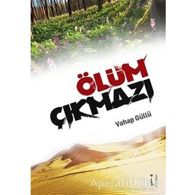 Ölüm Çıkmazı - Vahap Güllü