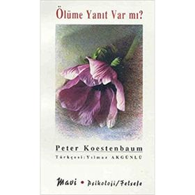 ÖLÜME YANIT VAR MI? - PETER KOESTENBAUM