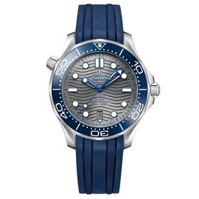 Omega 210.32.42.20.06.001 Erkek Kol Saati