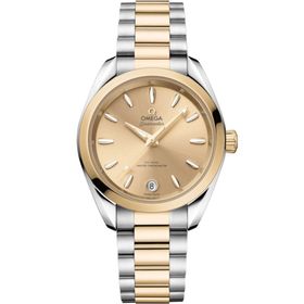 Omega 220.20.34.20.08.001 Seamaster Auqa Terra Kadın Kol Saati