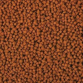 Omega One 1 mm 100 gr Açık Cichlid Select Pellets Balık Yemi