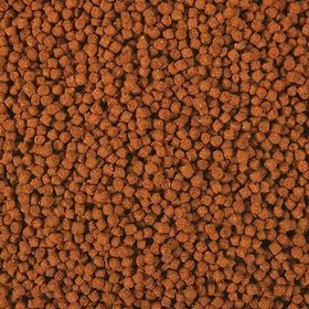 Omega One 1 mm 100 gr Açık Cichlid Select Pellets Balık Yemi