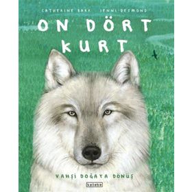 On Dört Kurt Ketebe Yayınları